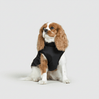 Dog Winter Jacket Waterproof Insulated Outdoor Pet Coat