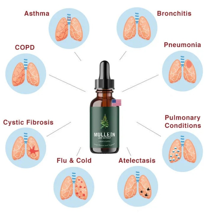Mullein Extract Liquid Herbal Supplement for Lung Support and Detox