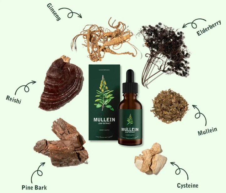 Mullein Extract Liquid Herbal Supplement for Lung Support and Detox
