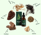 Mullein Extract Liquid Herbal Supplement for Lung Support and Detox