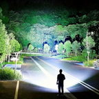 LED Flashlight Torch Handheld Bright Portable Light