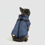 Dog Winter Jacket Waterproof Insulated Outdoor Pet Coat