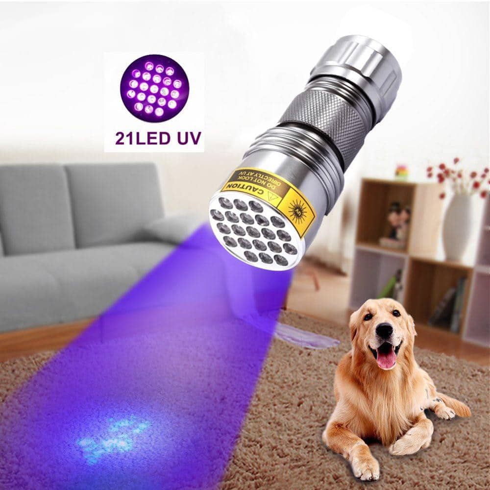 21 LED UV Pocket Flashlight Lamp Portable UV Light