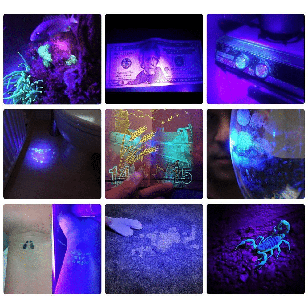 21 LED UV Pocket Flashlight Lamp Portable UV Light