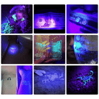 21 LED UV Pocket Flashlight Lamp Portable UV Light