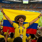 Colombia Flag Detail
