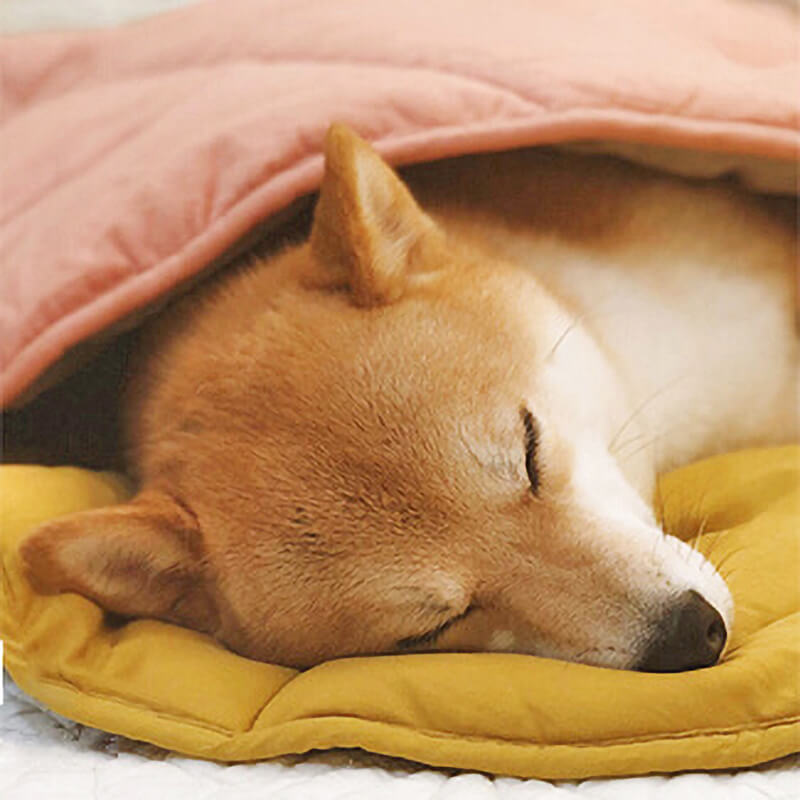 Large Dog Blanket Pet Bed Cover Washable Mat