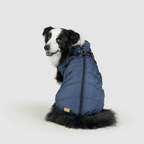 Dog Winter Jacket Waterproof Insulated Outdoor Pet Coat