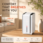 Luftentfeuchter mit Ionisator für Zuhause, Schlafzimmer, Wohnzimmer