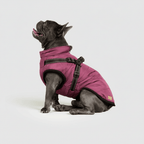 Dog Winter Jacket Waterproof Insulated Outdoor Pet Coat