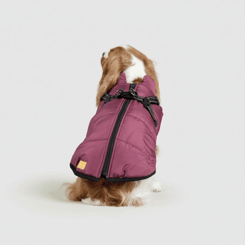 Dog Winter Jacket Waterproof Insulated Outdoor Pet Coat