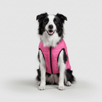 Dog Winter Jacket Waterproof Insulated Outdoor Pet Coat