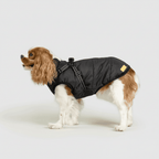 Dog Winter Jacket Waterproof Insulated Outdoor Pet Coat