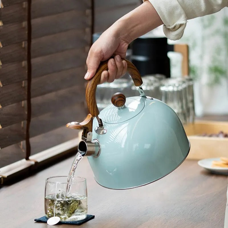 Whistling Kettle Stainless Steel Stove Top Tea Kettle