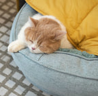 Large Dog Blanket Pet Bed Cover Washable Mat