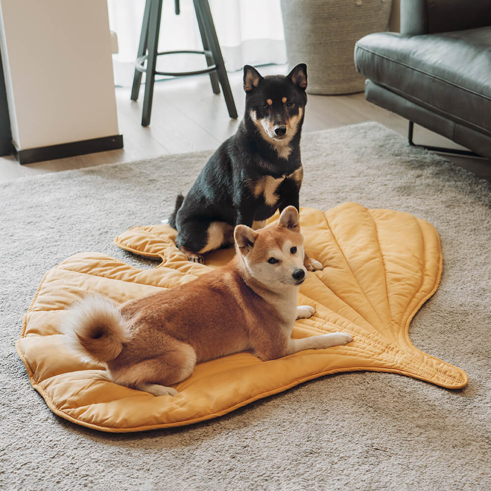 Large Dog Blanket Pet Bed Cover Washable Mat