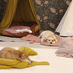 Large Dog Blanket Pet Bed Cover Washable Mat