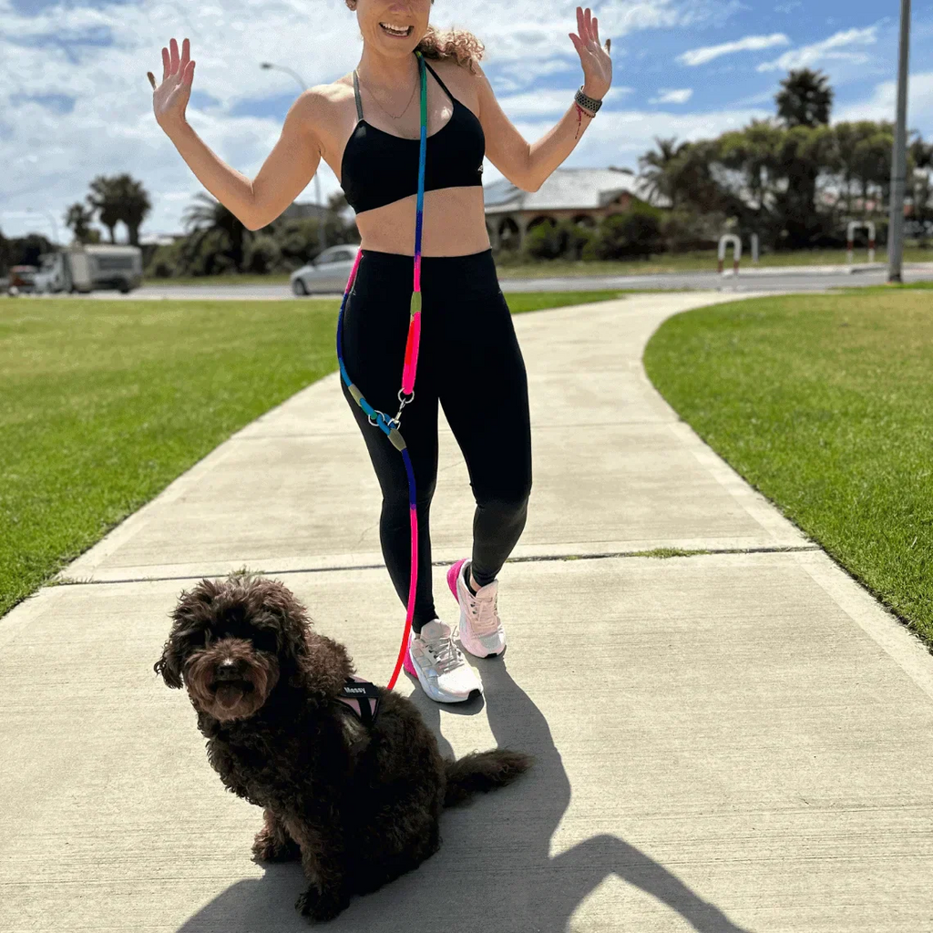 Hands Free Adjustable Dog Leash with Waist Belt Attachment