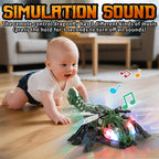 Remote Control Dragonfly Toy with Music and Lights