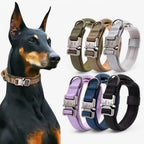 Tactical Dog Collar Set