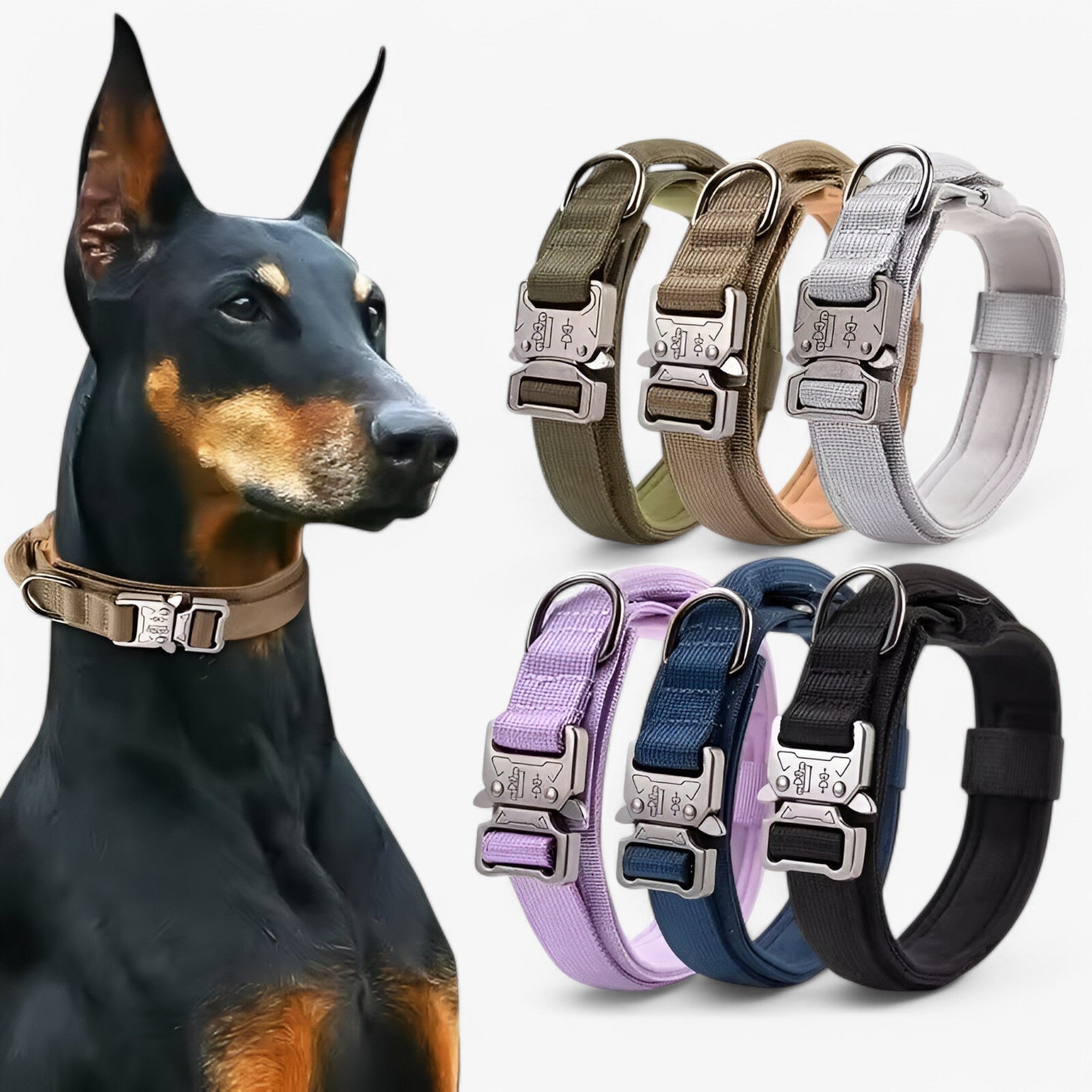 Tactical Dog Collar Set