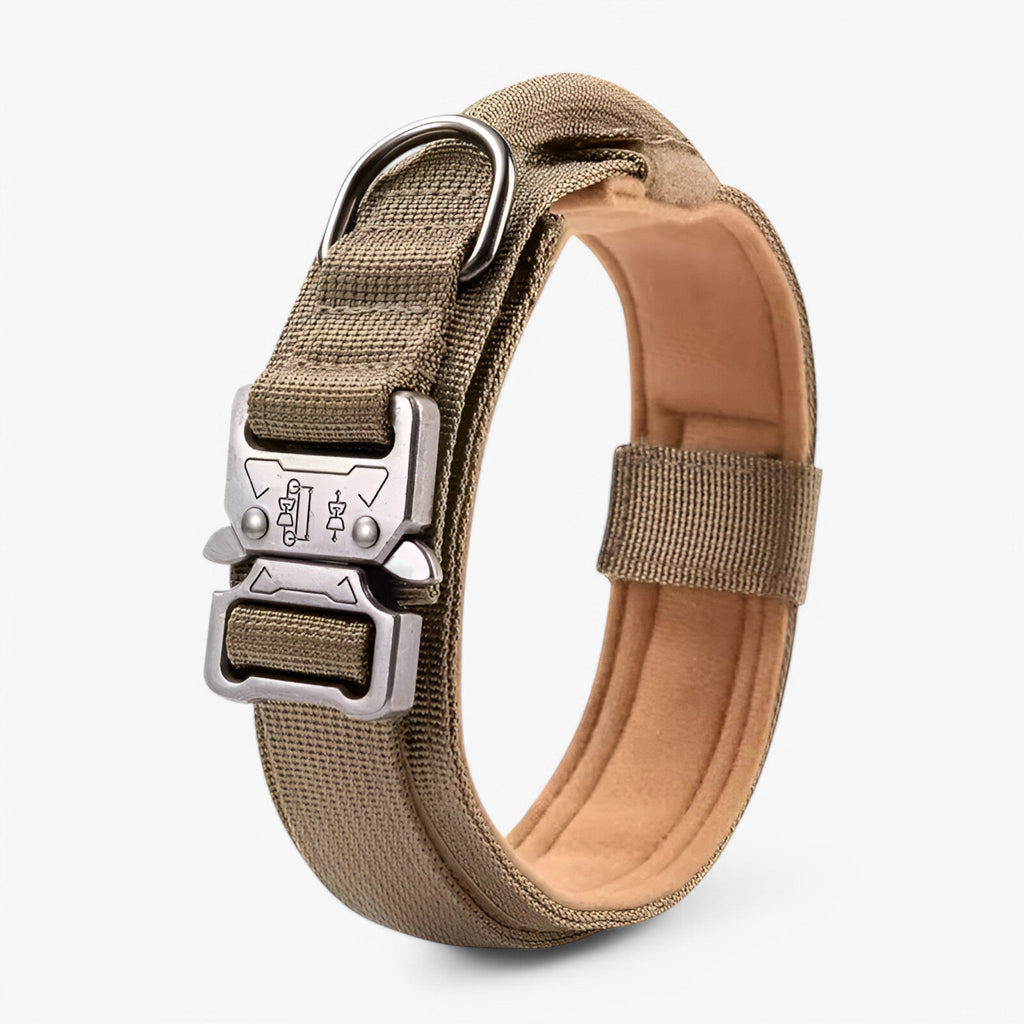 Tactical Dog Collar Set