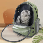Cat Carrier Backpack Transparent Bubble Pet Carrier