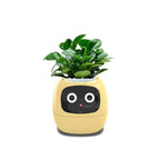 Self-Watering Indoor Plant Pot Planter Smart Circular Container