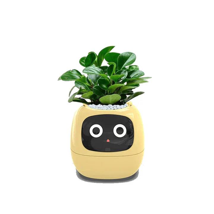 Self-Watering Indoor Plant Pot Planter Smart Circular Container