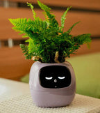 Self-Watering Indoor Plant Pot Planter Smart Circular Container