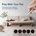 Rechargeable Laser Pointer Toy for Cats and Dogs