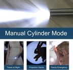 Rechargeable Laser Pointer Toy for Cats and Dogs