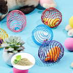 Cat Spring Ball Toy Set for Kittens and Cats Interactive Pet Toys