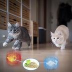 Cat Spring Ball Toy Set for Kittens and Cats Interactive Pet Toys
