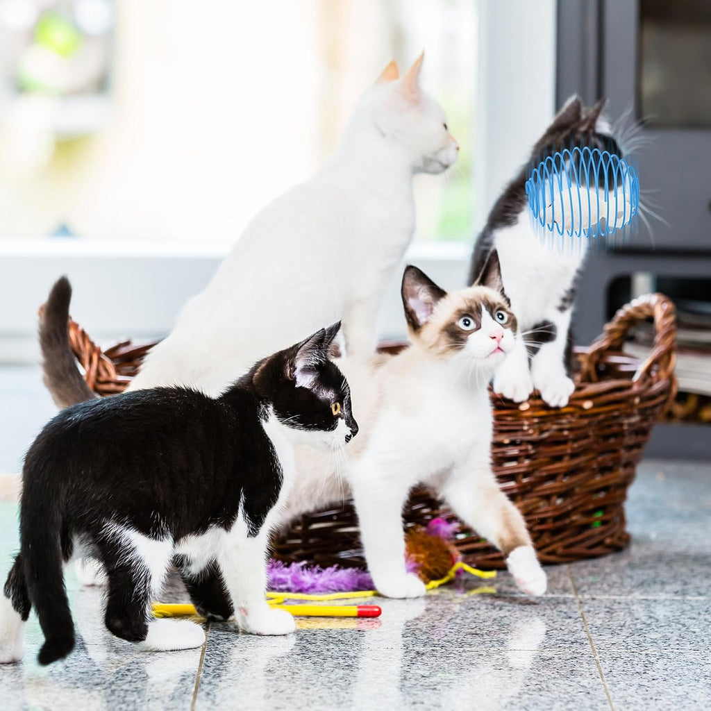 Cat Spring Ball Toy Set for Kittens and Cats Interactive Pet Toys