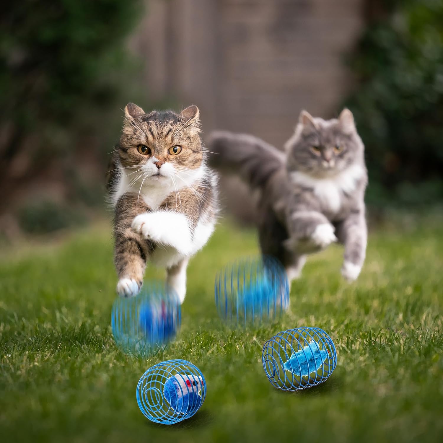 Cat Spring Ball Toy Set for Kittens and Cats Interactive Pet Toys