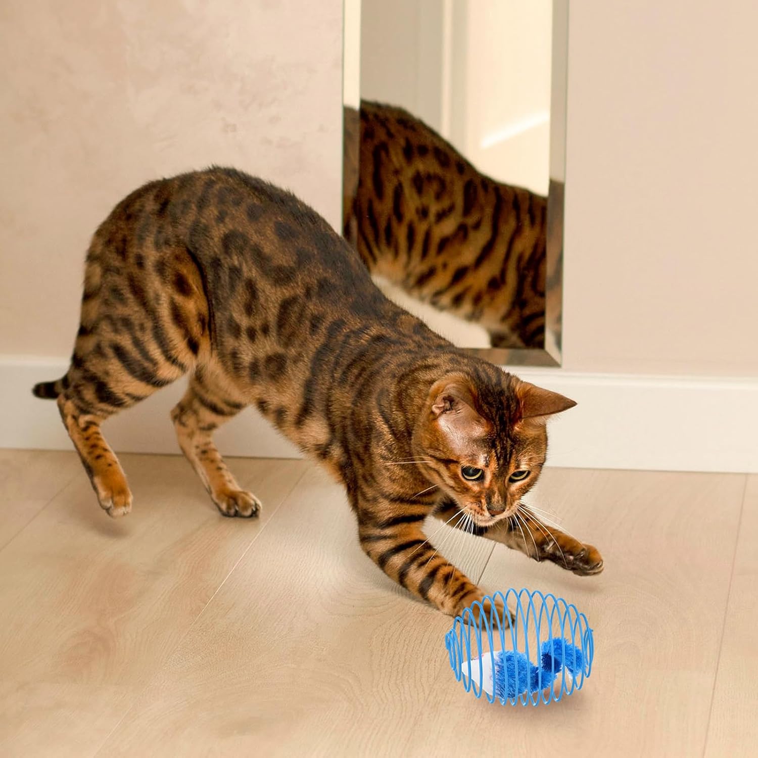 Cat Spring Ball Toy Set for Kittens and Cats Interactive Pet Toys