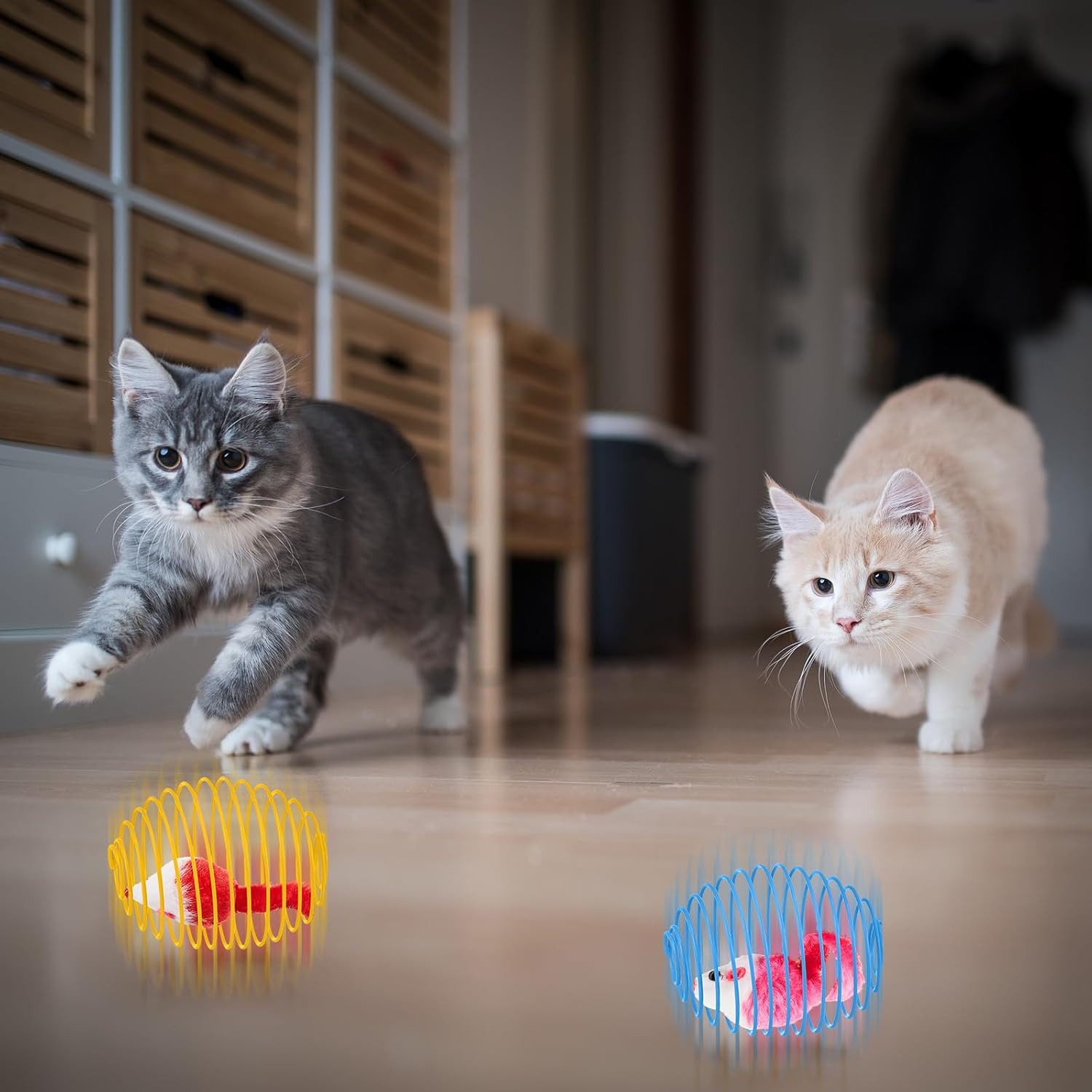 Cat Spring Ball Toy Set for Kittens and Cats Interactive Pet Toys