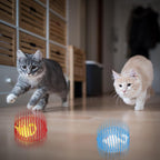 Cat Spring Ball Toy Set for Kittens and Cats Interactive Pet Toys