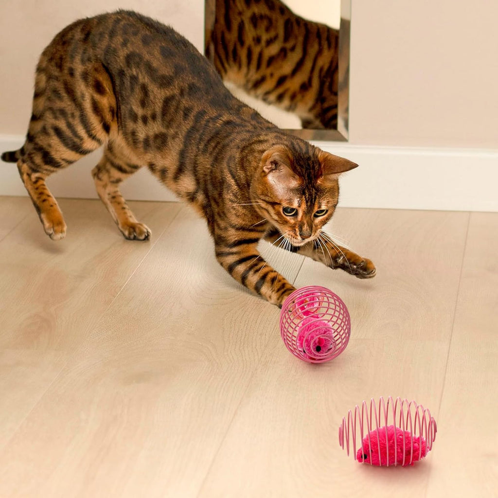 Cat Spring Ball Toy Set for Kittens and Cats Interactive Pet Toys