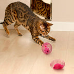 Cat Spring Ball Toy Set for Kittens and Cats Interactive Pet Toys