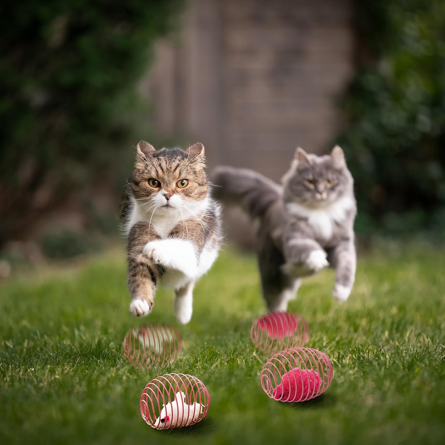 Cat Spring Ball Toy Set for Kittens and Cats Interactive Pet Toys
