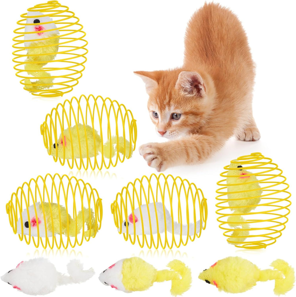Cat Spring Ball Toy Set for Kittens and Cats Interactive Pet Toys