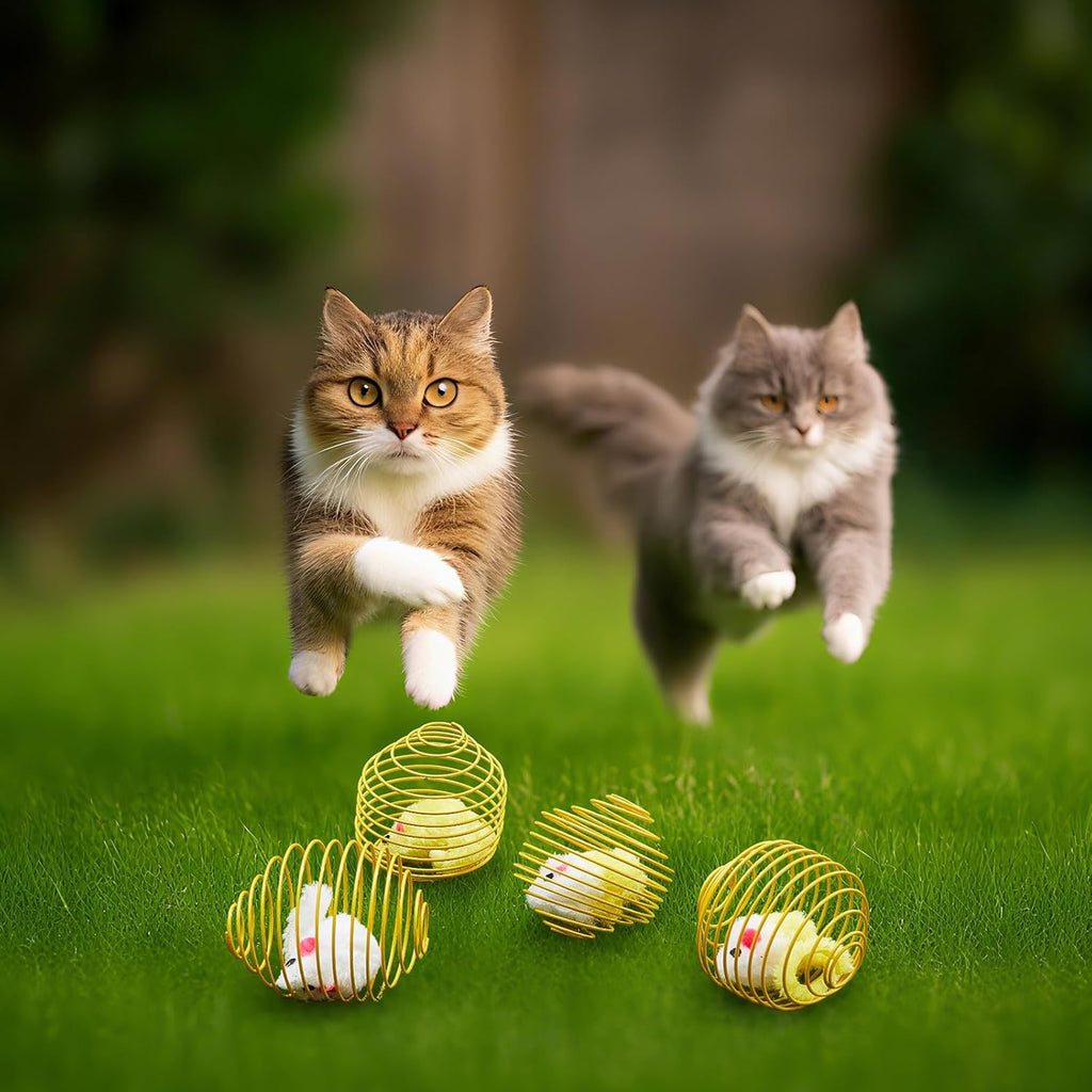 Cat Spring Ball Toy Set for Kittens and Cats Interactive Pet Toys