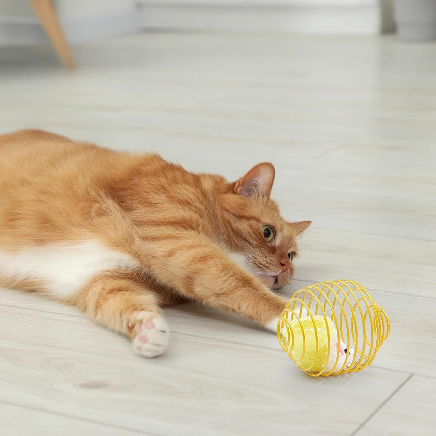 Cat Spring Ball Toy Set for Kittens and Cats Interactive Pet Toys