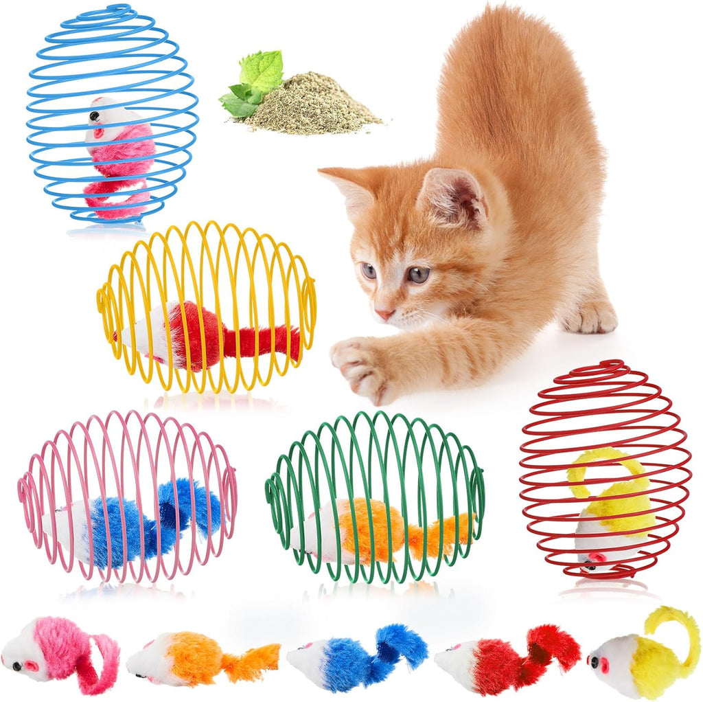 Cat Spring Ball Toy Set for Kittens and Cats Interactive Pet Toys