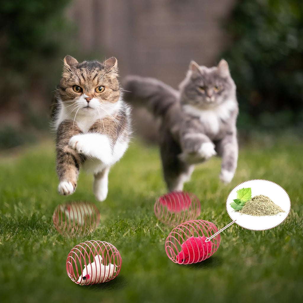 Cat Spring Ball Toy Set for Kittens and Cats Interactive Pet Toys