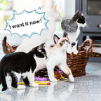 Cat Spring Ball Toy Set for Kittens and Cats Interactive Pet Toys