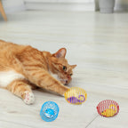 Cat Spring Ball Toy Set for Kittens and Cats Interactive Pet Toys