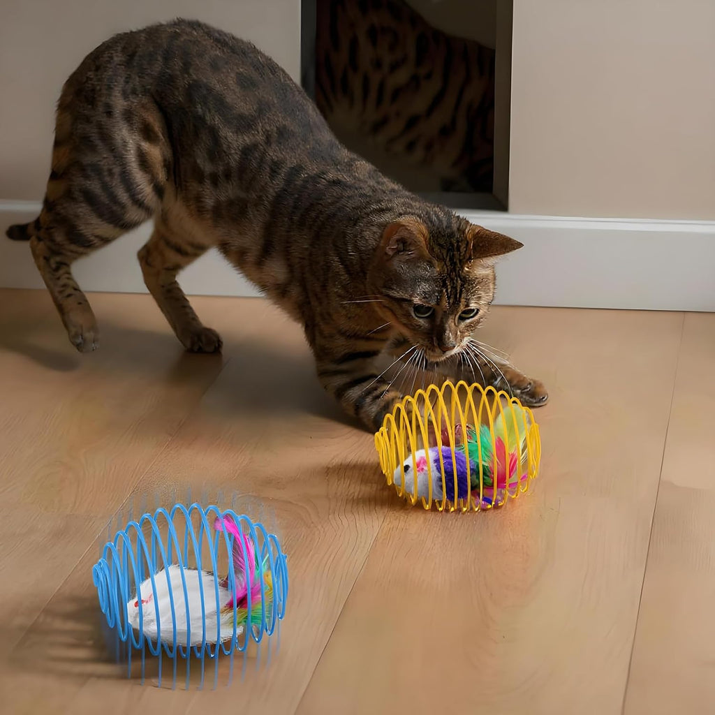 Cat Spring Ball Toy Set for Kittens and Cats Interactive Pet Toys